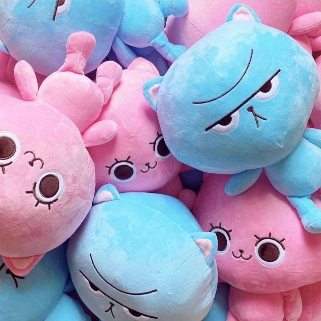 PLUSH TOY CPK x Jolillyboo Collection