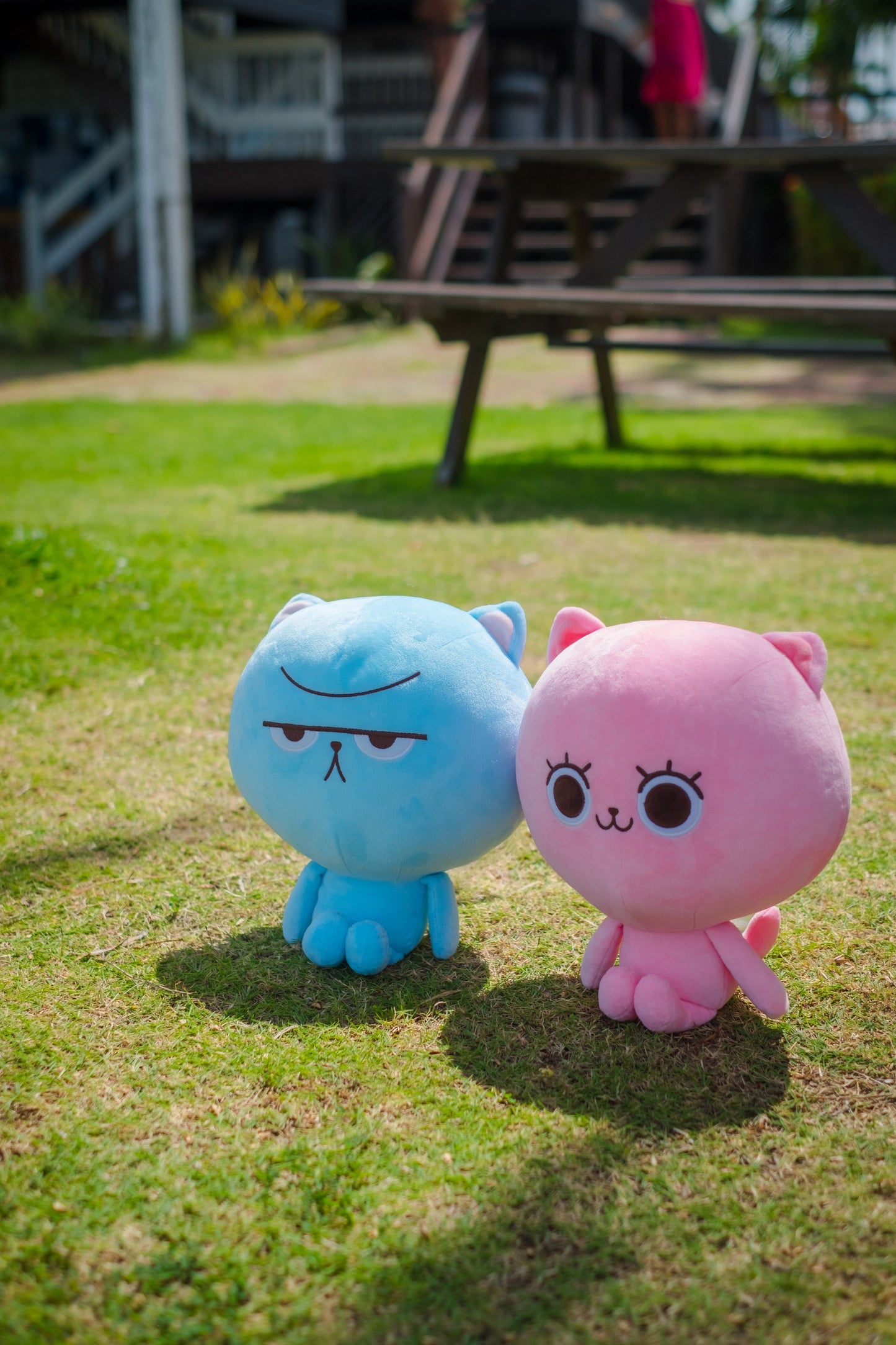 PLUSH TOY CPK x Jolillyboo Collection
